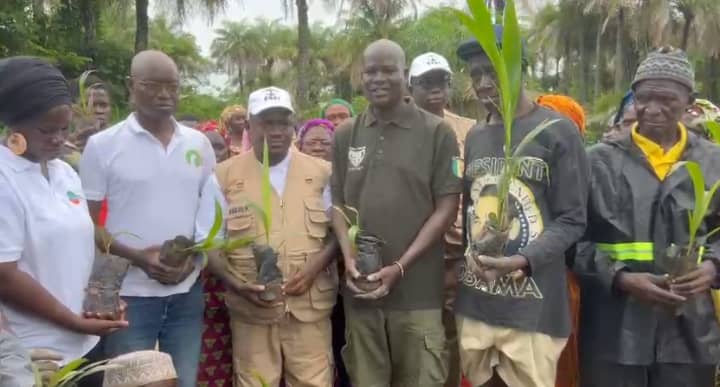 Plus de 3 800 arbres plantés pour reverdir l’arrondissement