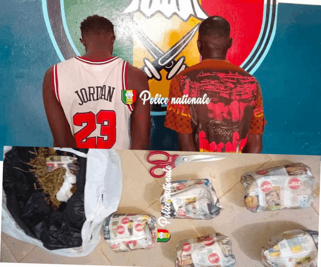 Six arrestations pour trafic de drogue, d&rsquo;importantes quantités de chanvre indien saisies