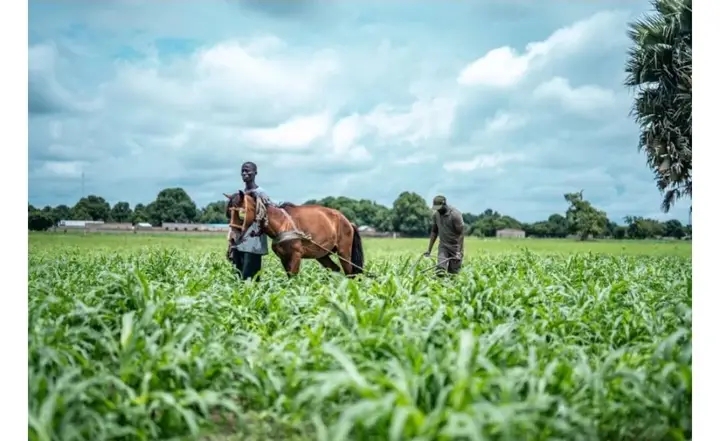 un moment fort en Sine-Saloum (Photo)