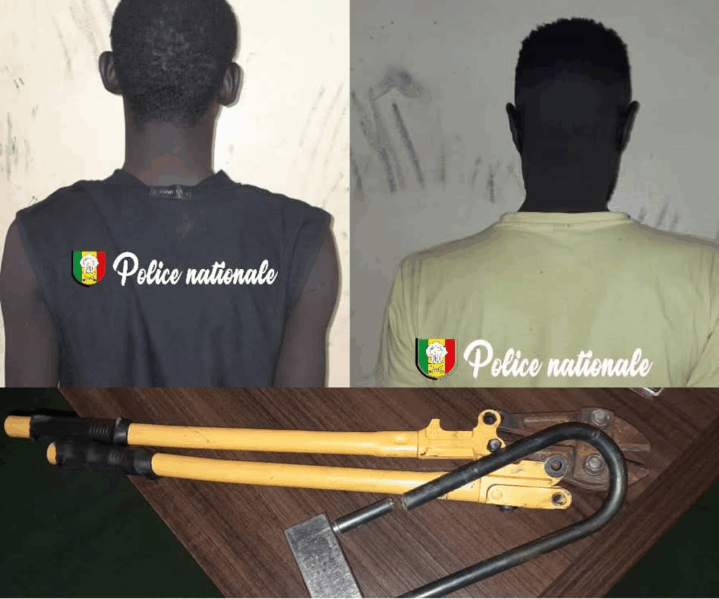 Arrestations pour trafic de drogue et vol de moto