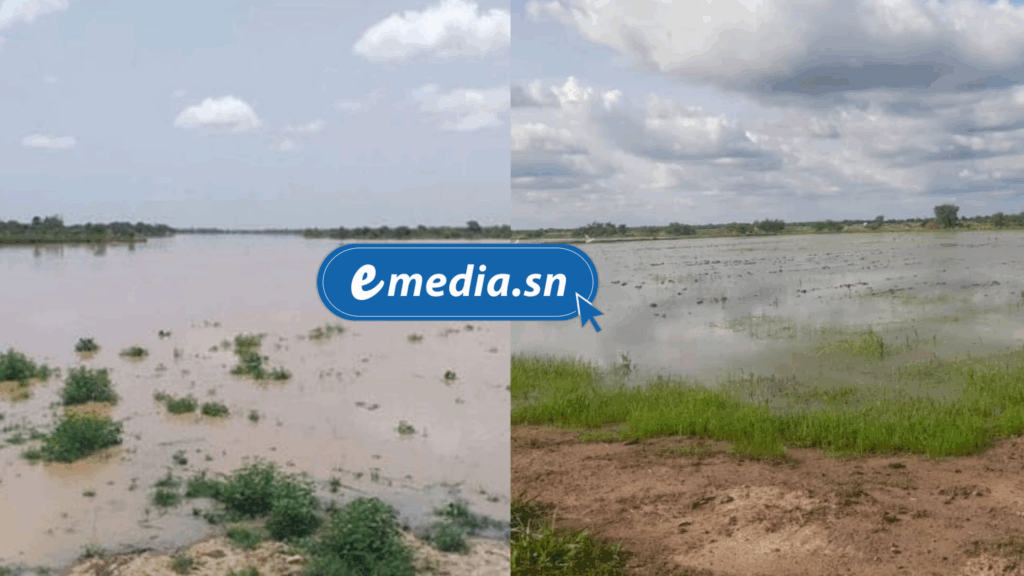 la campagne agricole 2025 menacée par des pluies excessives