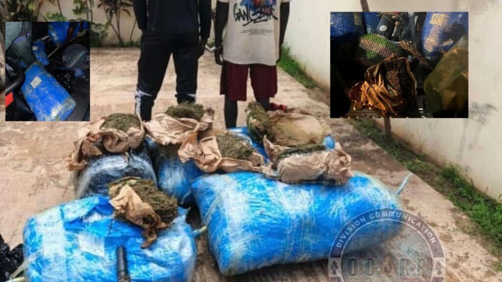 Saisie de 243 kg de chanvre indien au large de Thiaroye : Deux arrestations