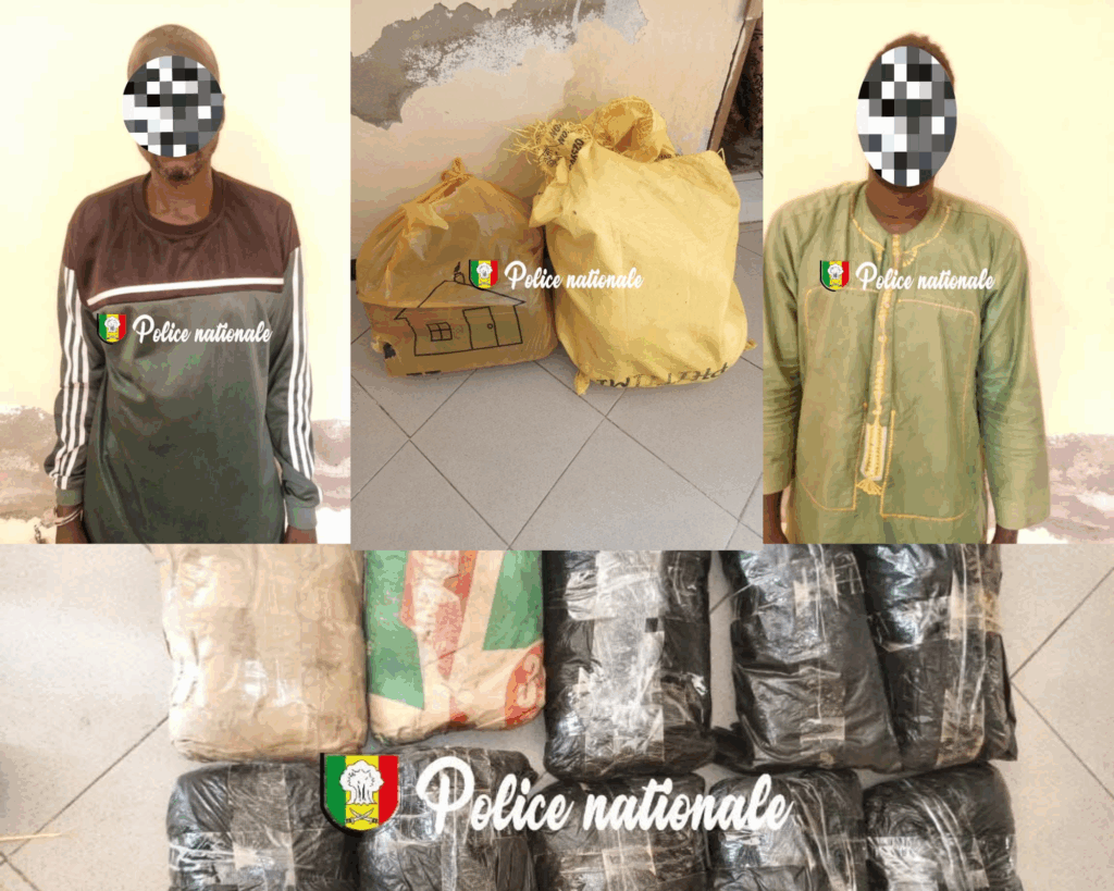 Deux individus interpellés avec plus de 8 kg de chanvre indien