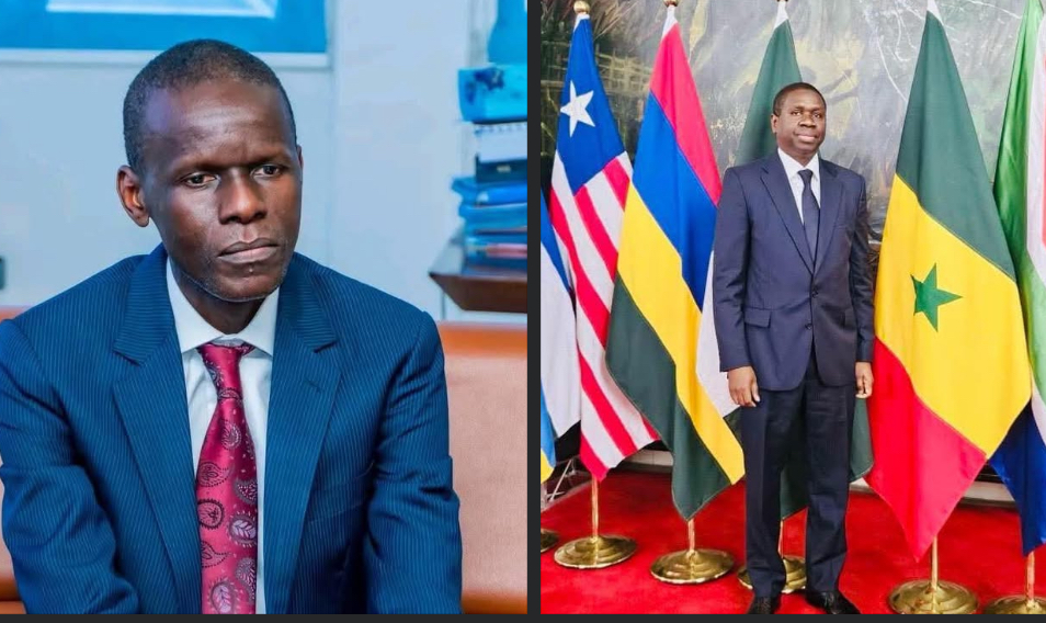 Waly Diouf Bodiang dénonce une tentative de réécriture de l’histoire par Oumar Youm