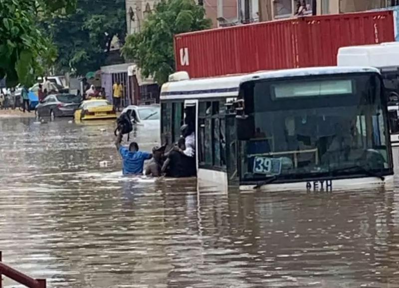 Le service « Allo Inondation » en première ligne, Touba au cœur des signalements