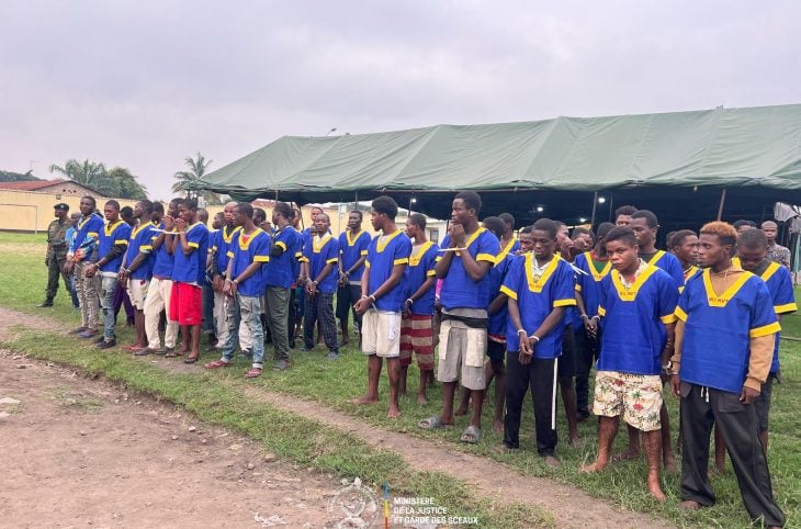 De l’insulte politique à un miroir de l’intégration africaine, par Diallo Amadou