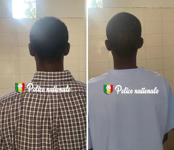 Démantèlement d&rsquo;un réseau d&rsquo;escroquerie aux visas au Point E : deux individus interpellés