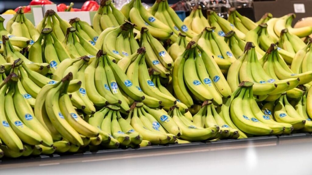 Les importations de bananes suspendues au Sénégal