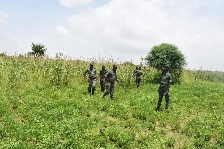 Quand l’agriculture devient un outil de réinsertion carcérale