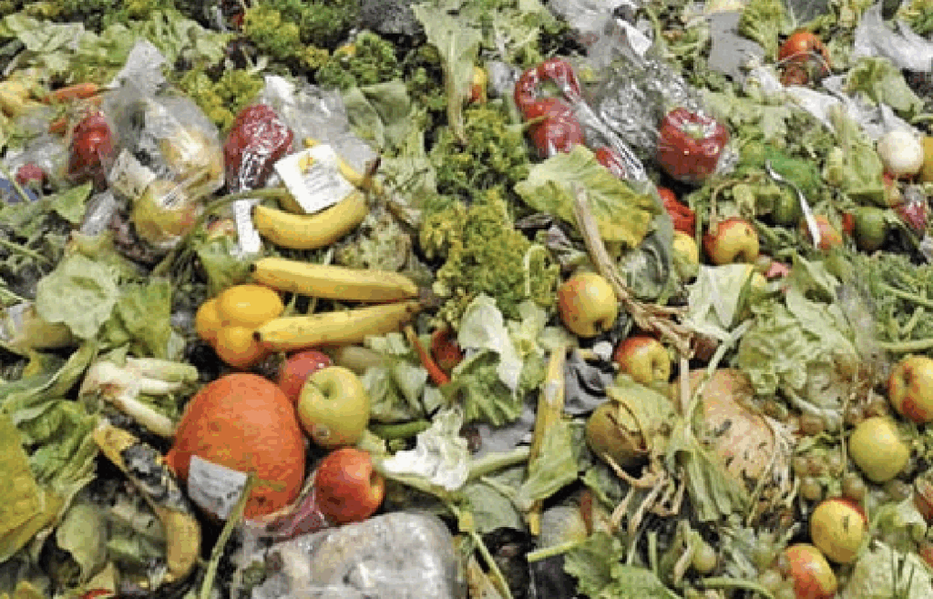 578 millions de dollars de nourriture perdus chaque année