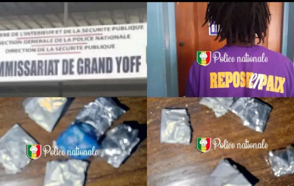 Arrestation d’un charretier avec du chanvre indien et 150 000 F CFA