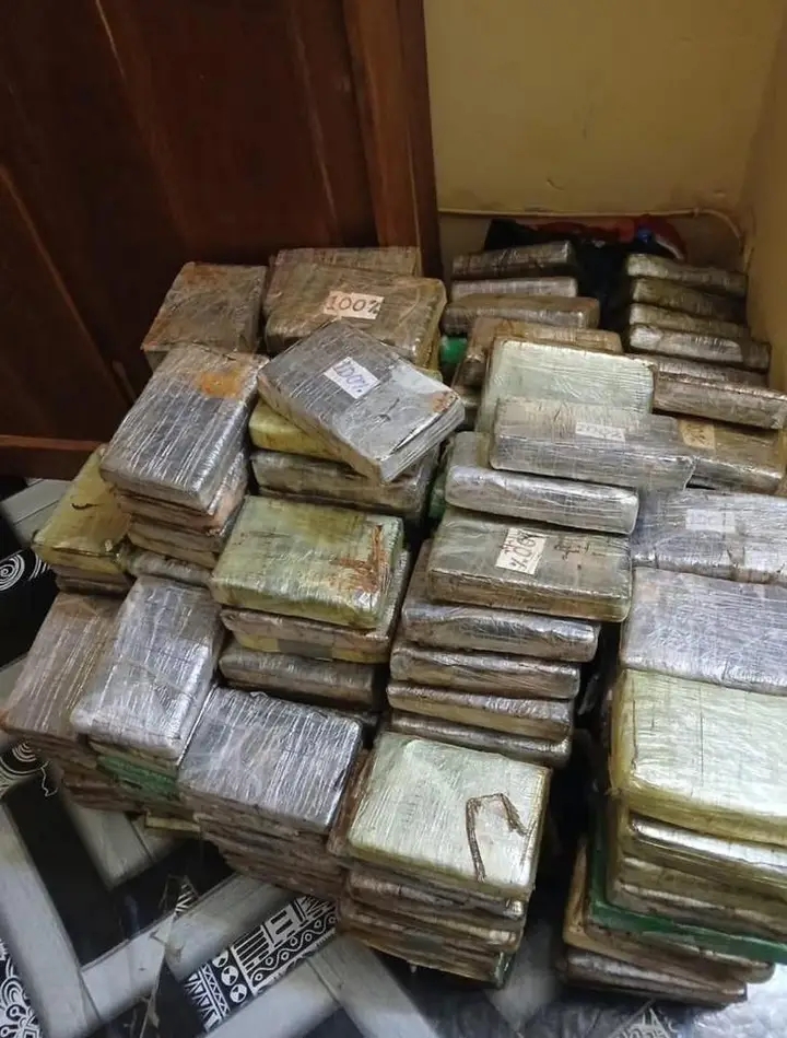 Saisie record de 243 plaquettes de cocaïne d’une valeur de 19 milliards FCFA…