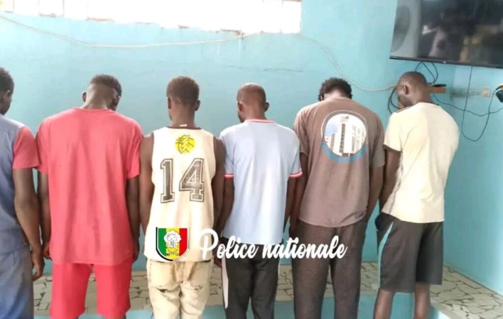 Démantèlement d&rsquo;un réseau de voleurs de bétail, six arrestations suite à un renseignement anonyme