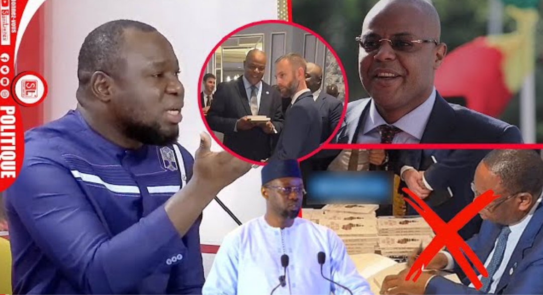 Vidéo/ Pa Ousmane « déchire » le livre de Macky SALL
