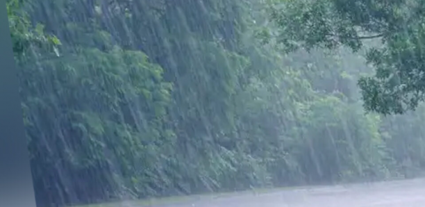 Météo, des pluies annoncées dans les prochaines heures