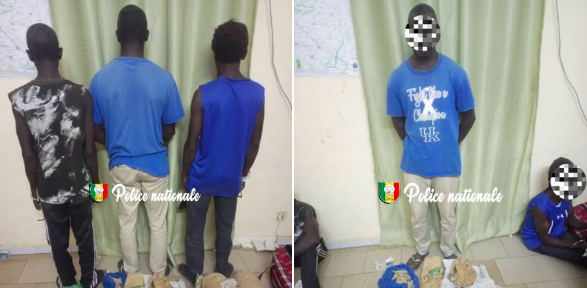 Trois individus interpellés pour trafic de drogue, 4 kg de chanvre saisis