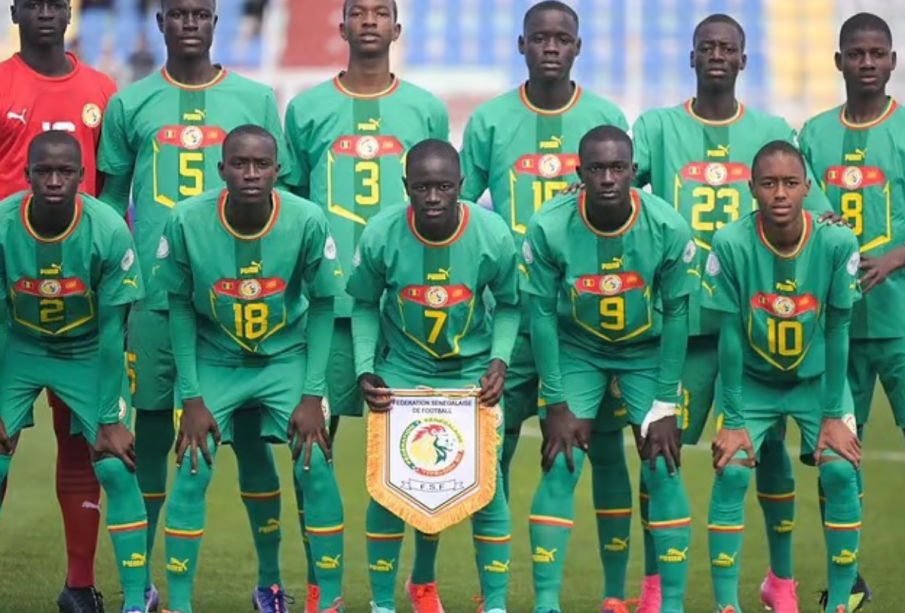 Les Lionceaux connaissent leurs adversaires