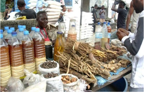 Racines, Tisane, Feuilles, recette de grand-mère… légalisées au Sénégal