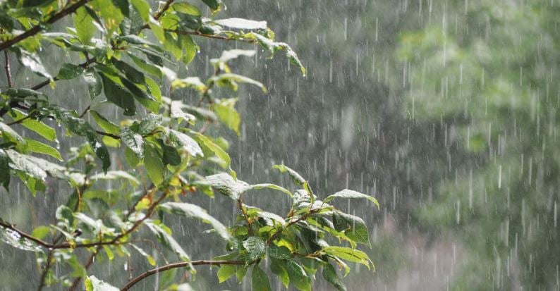 Ces régions qui vont recevoir de la pluie ce vendredi