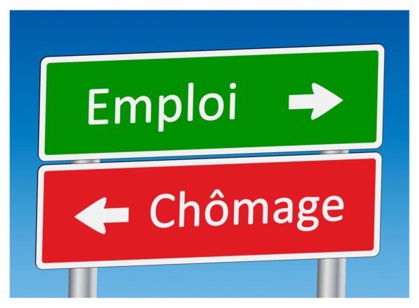 Deuxième trimestre 2025 – Emploi au Sénégal: Le chômage recule à 19% (ANSD)