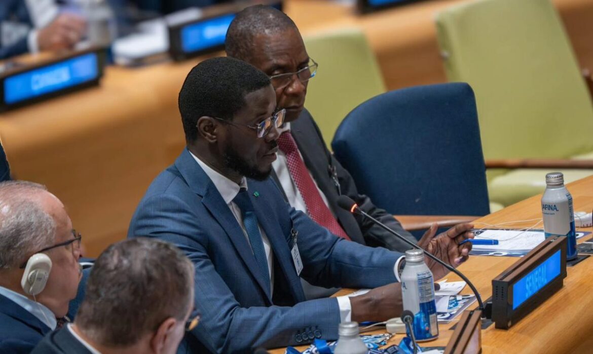 « L’Afrique doit être justement représentée au Conseil de sécurité »