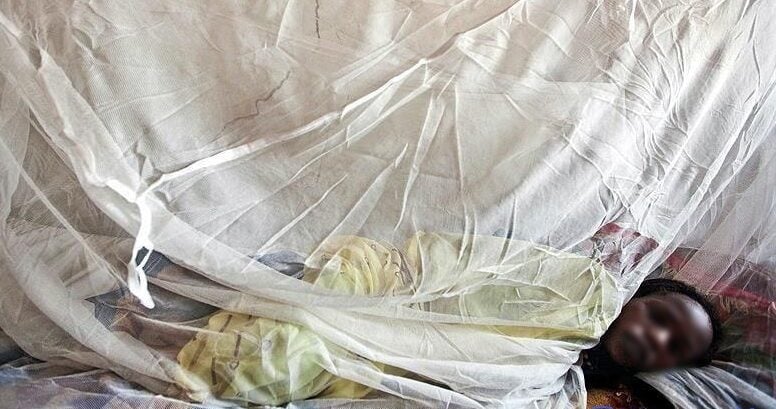 Le bilan s&rsquo;alourdit, les morts s&rsquo;enchaînent, la fièvre de la Vallée du Rift inquiète