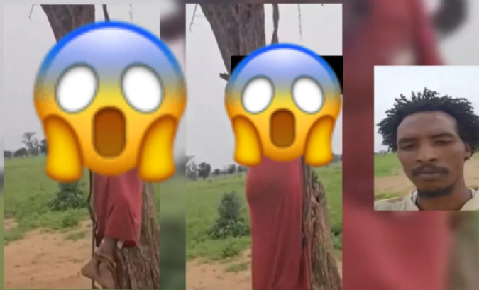 Ce que l’on sait de la femme pendue par les bras à une branche d’arbre