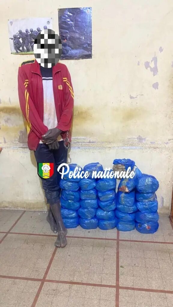 29 kg de chanvre indien saisis lors d&rsquo;une embuscade nocturne (Photos)