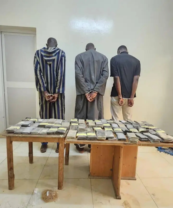 les Douanes sénégalaises saisissent 19 000 billets noirs et 228 millions de faux médicaments