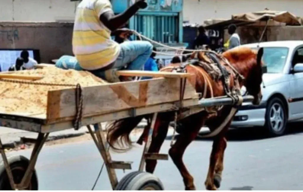 Les chariots et pousse-pousse bannis de plusieurs axes stratégiques