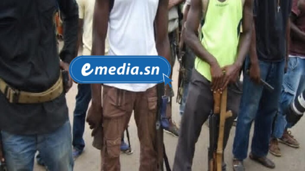 Des hommes armés attaquent des villageois et emportent plusieurs millions