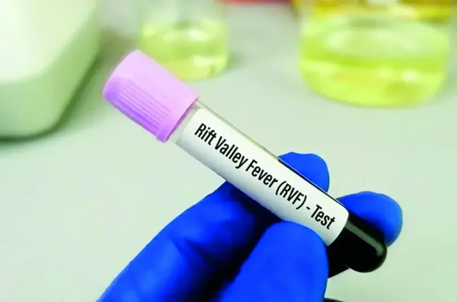 trois nouveaux décès déplorés en 24h