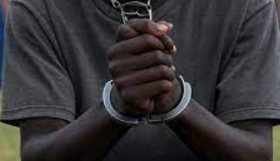 Une mafia de l’arnaque mise à nu à Diamniadio : 11 arrestations…