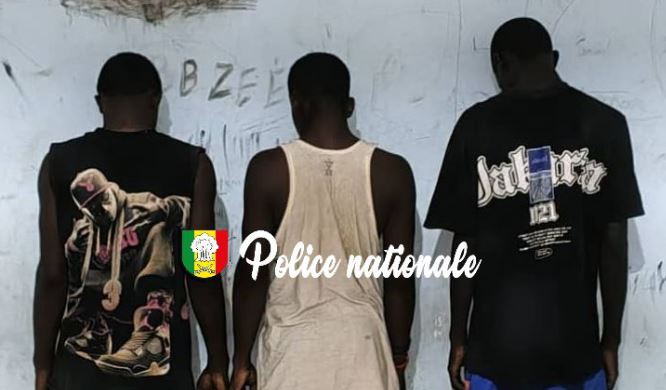 Trois individus arrêtés pour cambriolage nocturne