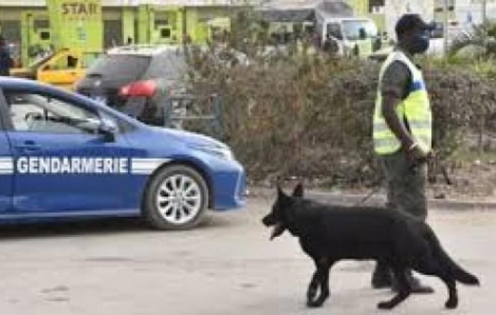 La Gendarmerie nationale dément les annonces de recrutement erronées