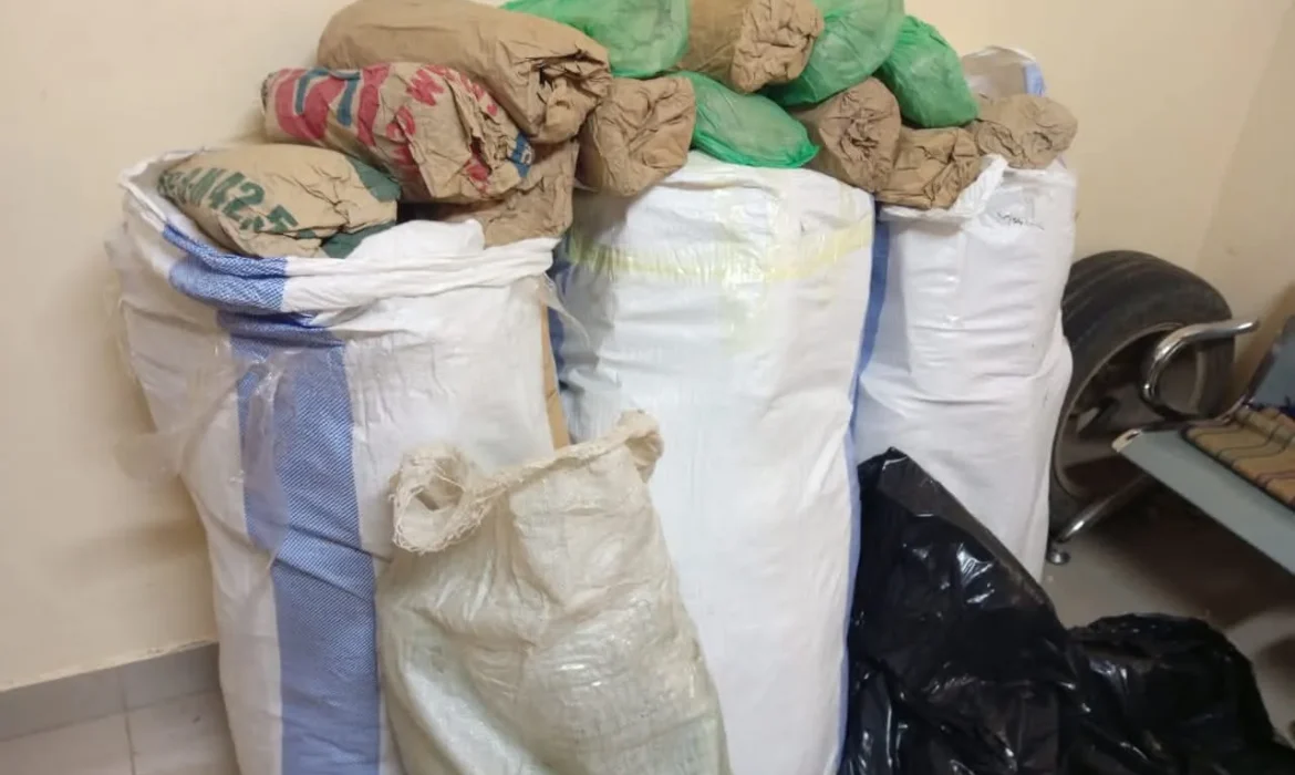 Saisie de 108 kg de chanvre indien à Mballing : Les trafiquants en fuite