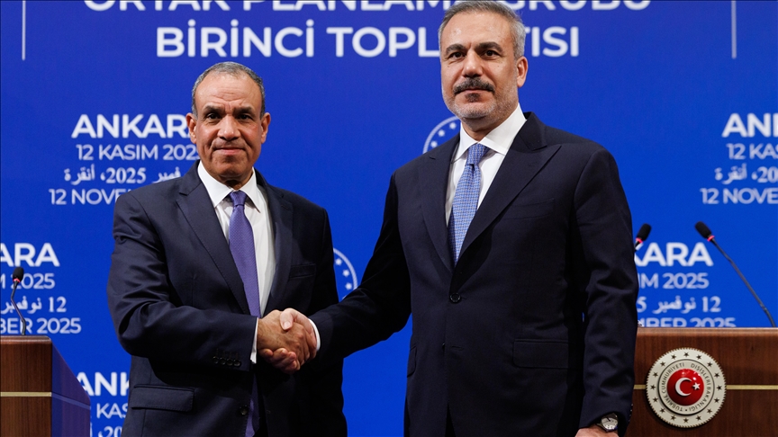 L’Égypte assure que Damas ‘ne représente aucune menace pour la région’