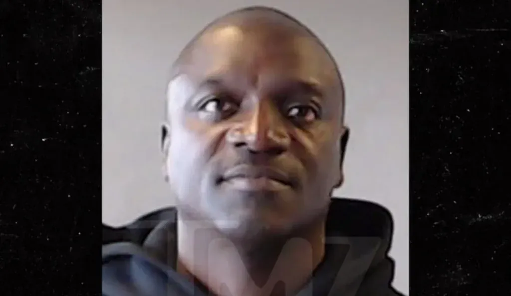 Conduite avec un permis suspendu, le chanteur Akon interpellé en Géorgie