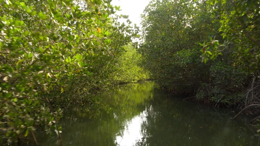 À Mbodiène, des élèves formés pour devenir les « ambassadeurs de la prochaine génération »