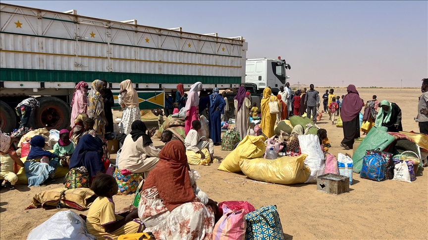 L’Égypte et l’Arabie saoudite insistent pour un « processus politique inclusif »