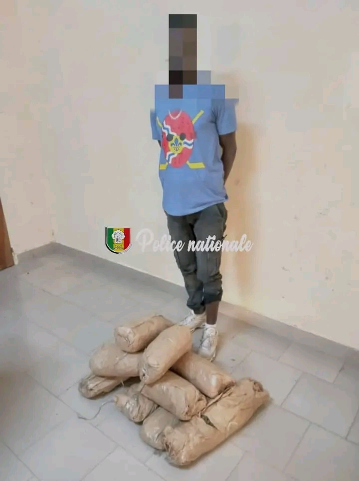 10 kg de chanvre indien saisis dans la brousse de Gourelle