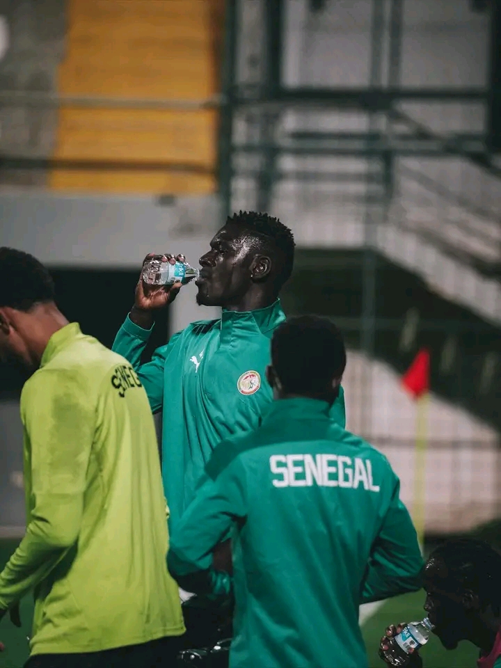Séance intense des Lions à Antalya avant le Kenya (Photos)