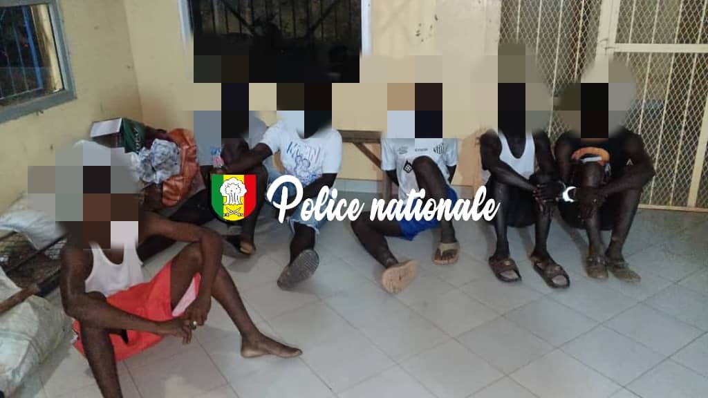 La bande repérait des vaches la nuit avant de les égorger et de livrer la viande à…