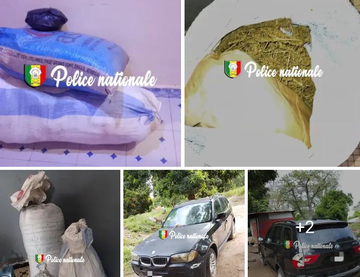 deux individus arrêtés et 40 kg saisis …