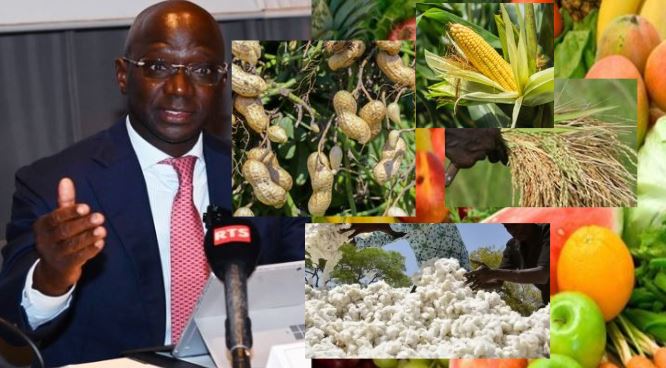 voici les chiffres records jamais atteints au cours des 20 dernières années…