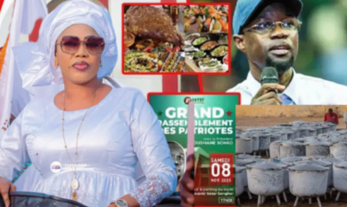 Le « berndé » de Sokhna Aïda Diallo crée une polémique dans le Pastef
