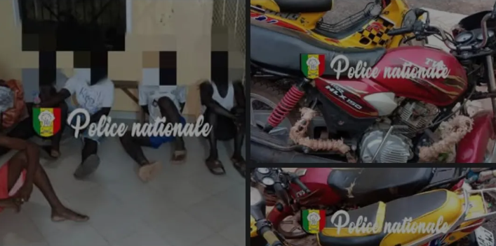 La police nationale met la main sur un gigantesque réseau d’abattage clandestin