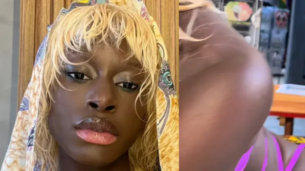 « Elle ne porte presque rien », la tenue de Diarra Sylla pour un shooting aux USA divise (Photos)