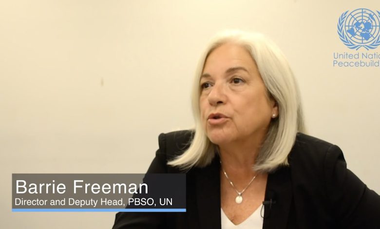 L’ONU dévoile les fragilités persistantes et l’expansion du terrorisme