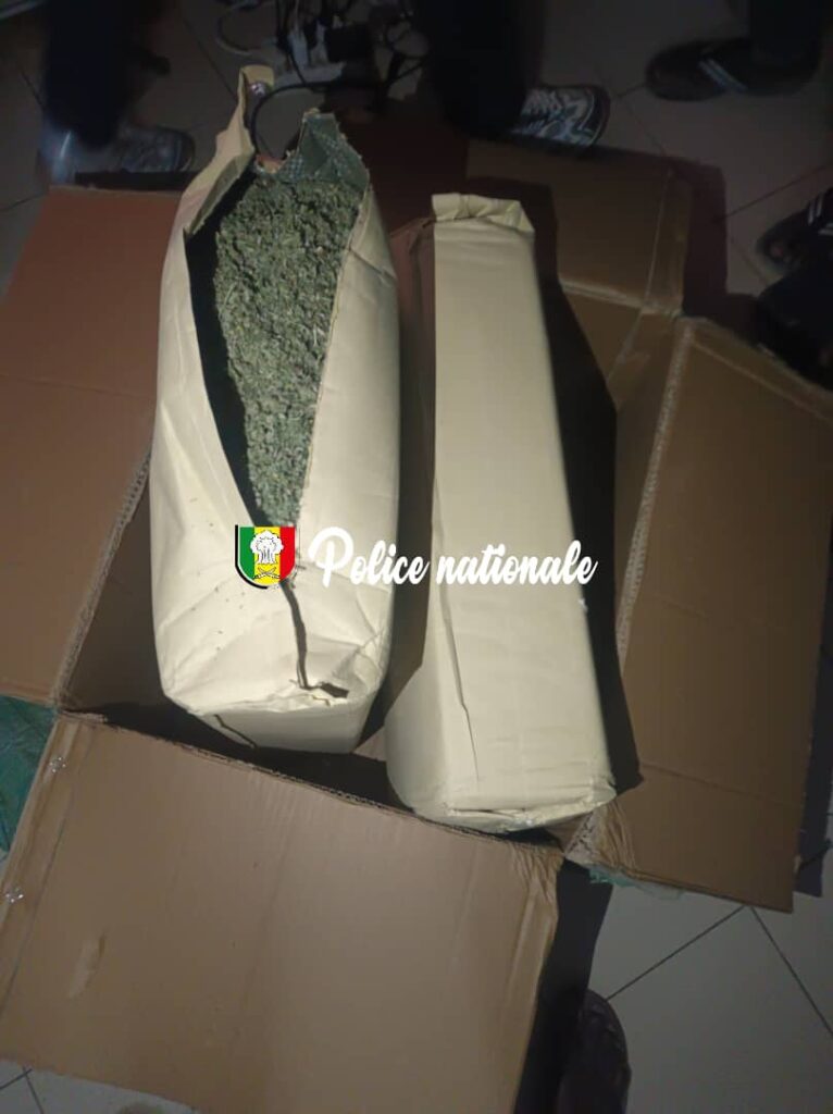17 kg de kush saisis dans un colis en provenance d’Asie